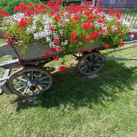 'reit' - - Giardino, Parcheggio, Wi-fi Apartment